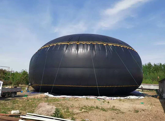 Bàng quang chứa nước và dầu
